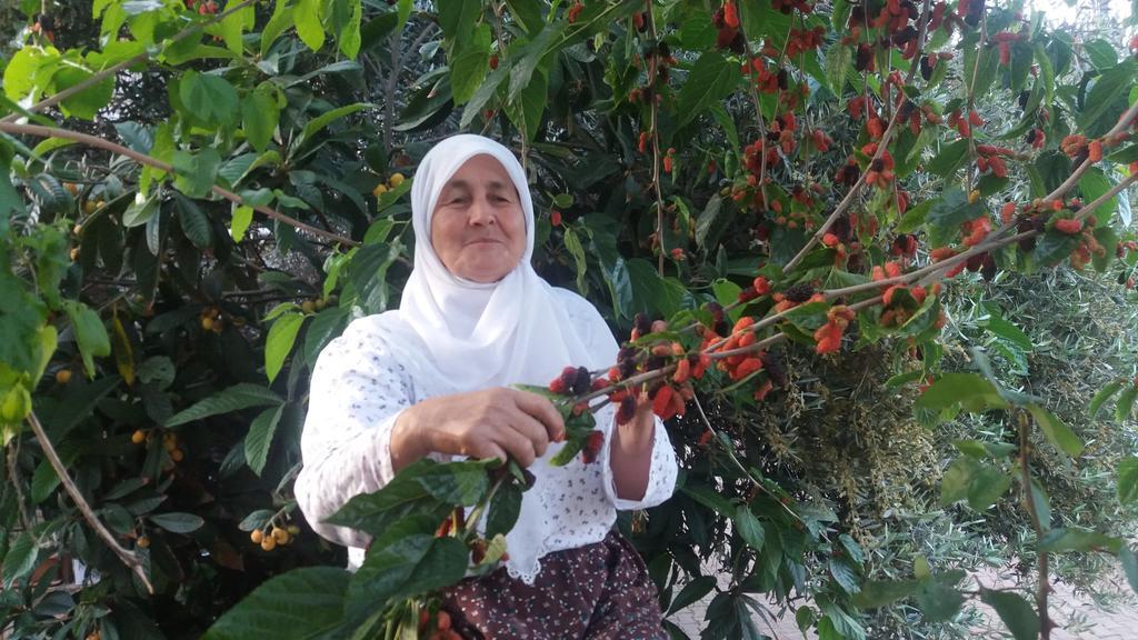 Likya Pansiyon Kaleucagız Eksteriør bilde